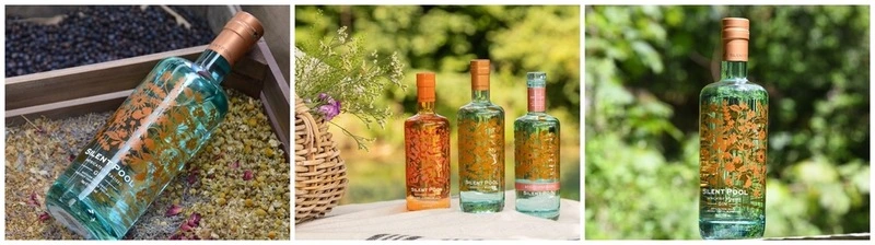 Bottiglia di Silent Pool Gin ultra-premium color verde acqua con decorazioni in rame e tappo in vetro su sfondo naturale.