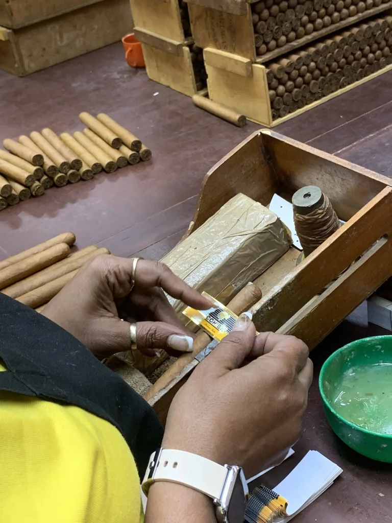 Primo piano delle mani di una torcedora di El Laguito mentre applica l'anilla a un sigaro Cohiba appena finito.