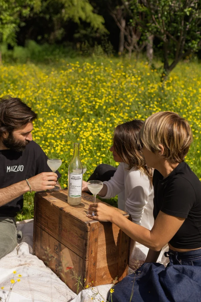 Bottiglia di Esprit Daiquiri Allpossibledaiquiris realizzata con Rhum Neisson L'Esprit Bio.