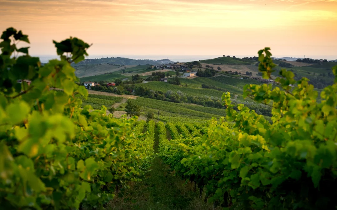 L’Oltrepò Pavese unisce le sue eccellenze: vino d’autore e grande ristorazione a Voghera