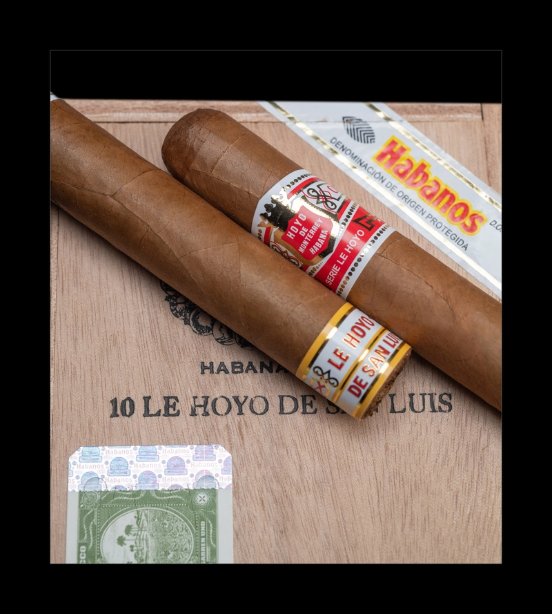 Dettaglio dell'anilla del sigaro cubano Le Hoyo de San Luis, realizzato totalmente a mano.