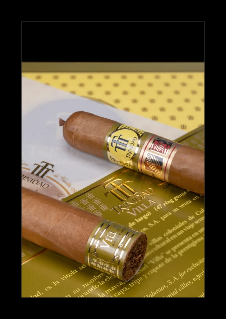 Dettaglio macro sulla testa e sulle anille esclusiva del nuovo sigaro cubano Trinidad Villa LCDH & SP.