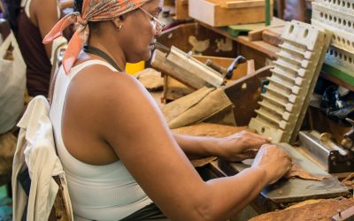Online Perfecto Magazine 13: il nuovo viaggio tra fumo lento, eccellenze e collezionismo