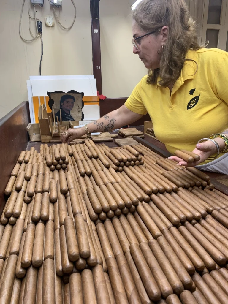 Primo piano delle mani di una torcedora di El Laguito mentre seleziona i colori dei sigari Cohiba