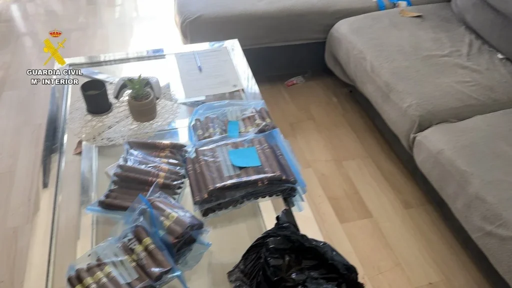 Mazzi di sigari contraffatti e già confezionati in buste di plastica trasparenti, sequestrati dalle autorità durante la perquisizione nell'appartamento.