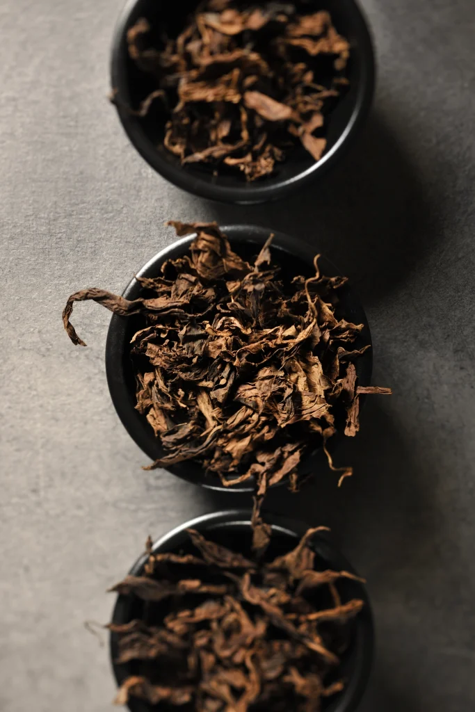 Frammenti di tabacco Kentucky selezionato per la manifattura dei sigari italiani.